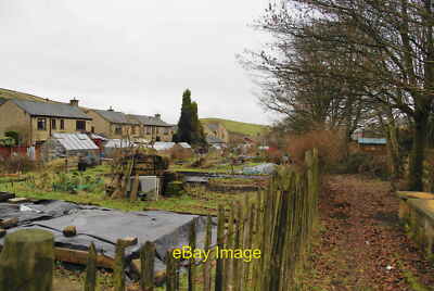Foto 12x8 Kleingärten zwischen den Häusern Dies ist direkt hinter Ramsden Road c2010