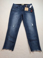 Democracy "Ab" Technology High Rise Vintage Skinny Mold  Hold Blue Jeans READ 