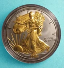 2003 American Silver Eagle 1 oz .999 Fine Silver Dollar Coin 24K Gold Gilded