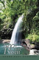Andre Paul Goddard | The Blue Basin | Taschenbuch | Englisch (2012) | Iuniverse