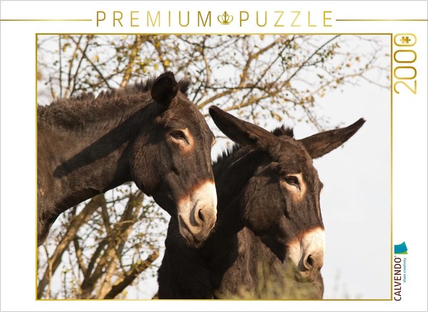 Calvendo Puzzle Donkeys Among Themselves | 2000 Pieces, Finished Size 35.4 × 26.-image