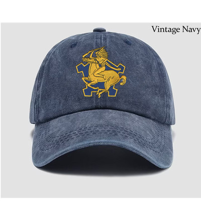 Custom Embroidered Hat 9th Cavalry Regiment, Veteran Cap, Trucker Hat, Gift Idea