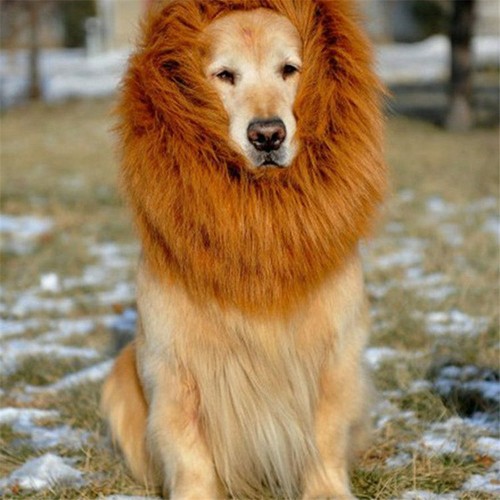 pet costume lion mane wig for dog