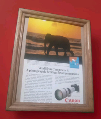 Canon F1 / Fd500mm Camera Print Advert 1988 UNFRAMED 6.5x10'' FLIPSIDE Zenith TV