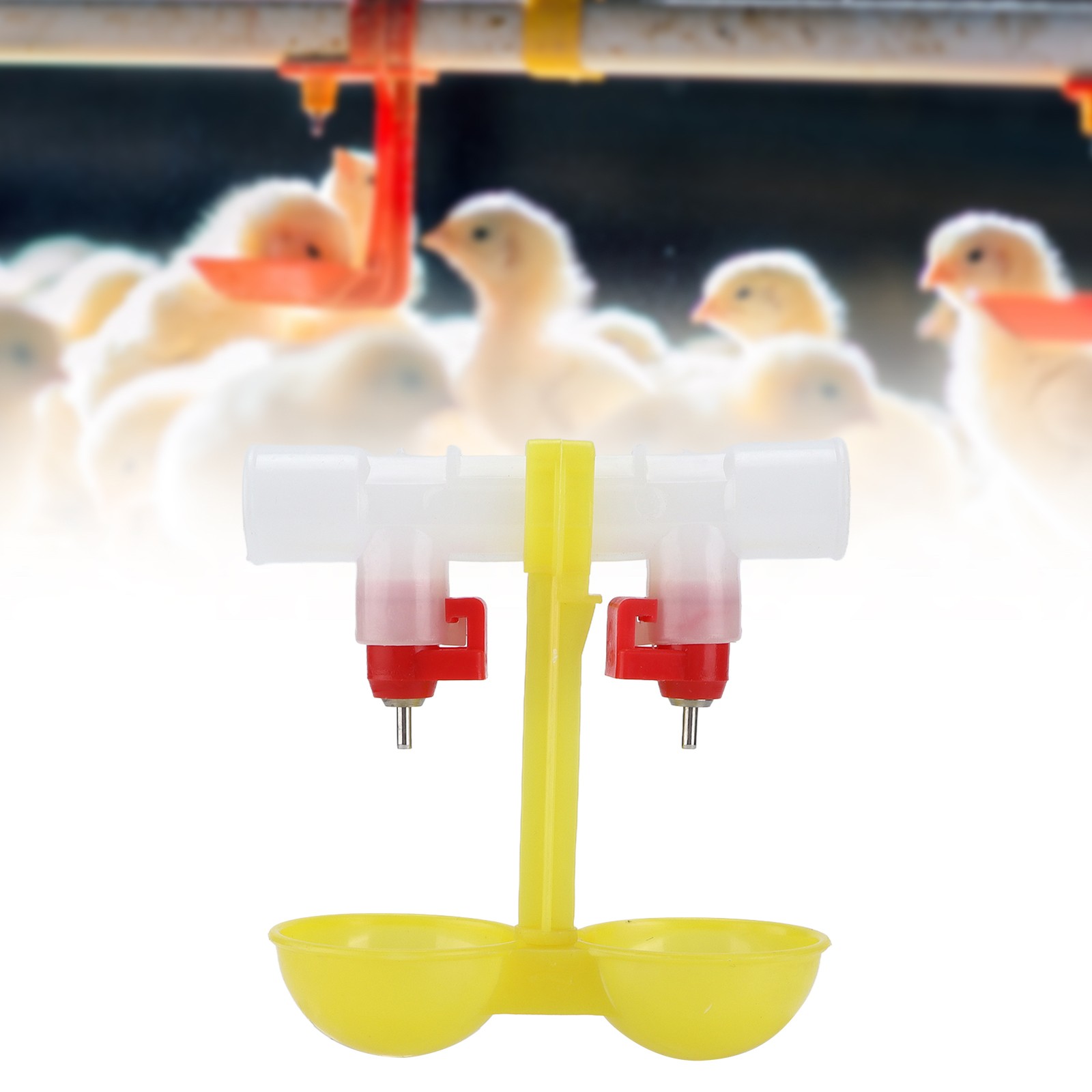 Double Chicken Nipple Waterer Drinker Automatic Hanging Drinking Cups For