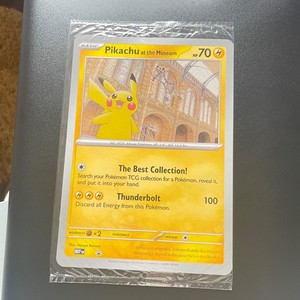Pikachu at the Museum | eBay