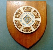 1978 Vintage Royal Air Force / RAF  Regimental Shield Mess Wall / Barracks etc