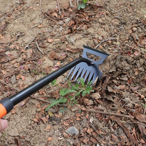 Pala Pulizia Erbacce in Metallo 2 in 1 Rastrello da Giardino Acciaio Inox 5/6/8/11 Denti Dua - Foto 9 di 28