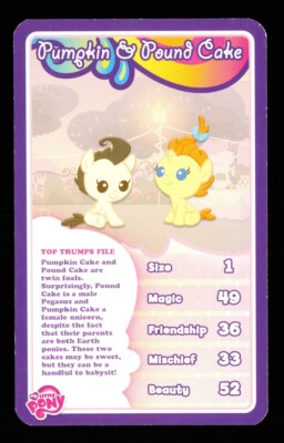 1 x info card My Little Pony Pumpkin Cake & Pound Cake - R128