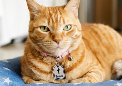 Goth Tombstone Personalized Dog Cat Pet ID Cross Charm Keychain