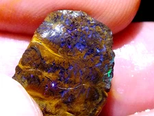 Boulder Opal Gem Rough 10.15 carats Top Electric Blue Green fires