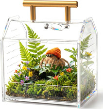 Jumping Spider Enclosure - Acrylic Terrarium Habitat for Spiders, Tarantulas, Sn