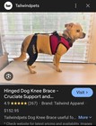 Tailwindpets Dog Knee Brace Cruciate Support Double Back Leg Brace -  XS New — photo 2