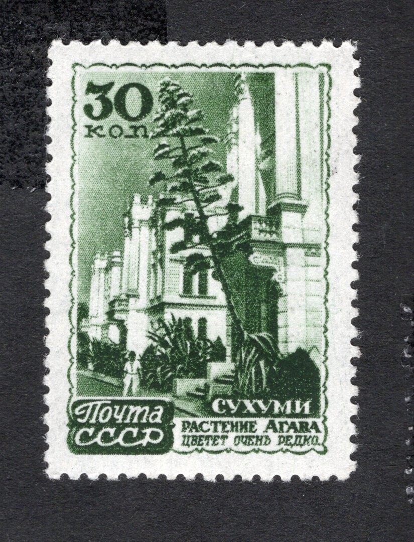 USSR 1947 stamp Zagor#1106 Rastr BP START22%ONLY MH CV=38$