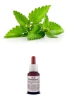 Pure Essential Oil PATCHOULI Natural Food Use / Cosmetic AROMATHERAPY