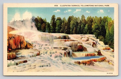 Cleopatra Terrace Yellowstone National Park Wyoming Vtg WY Postcard View Unused