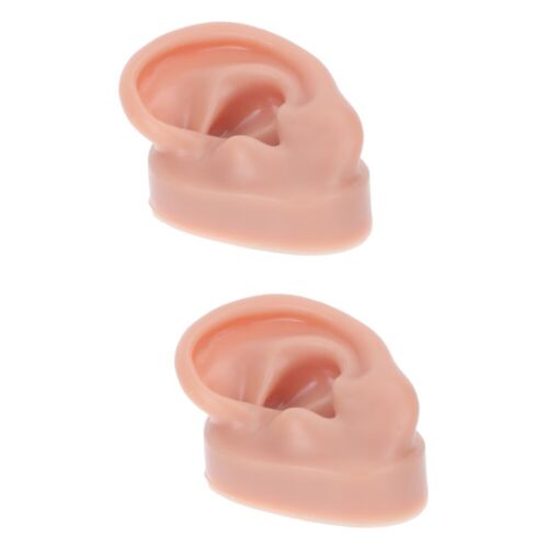  2 piezas modelo de presentación de oreja maniquí herramientas diente de estudiante - Imagen 1 de 12