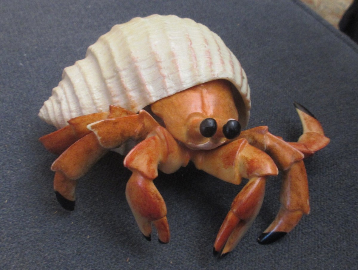 Hermit Crab Figure Likely Safari Ltd Incredible Creatures