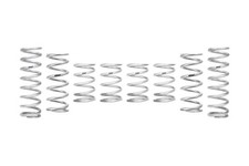 Eibach PRO-UTV Stage 4 Spring Kit E85-209-036-04-22 Polaris Xpedition ADV 5 New