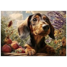 Great Jigsaw Puzzles for Adults 300 Pieces Dachshund Puppy Palying in The Gar...
