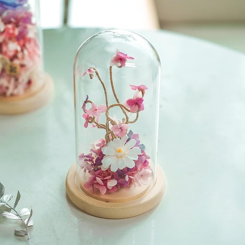 High Borosilicate Glass Cloche Dome with Solid Wood Base - Gift for Plant Lovers - Picture 11 of 11
