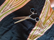 professional hair scissors