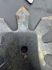 Picture 8 of 12