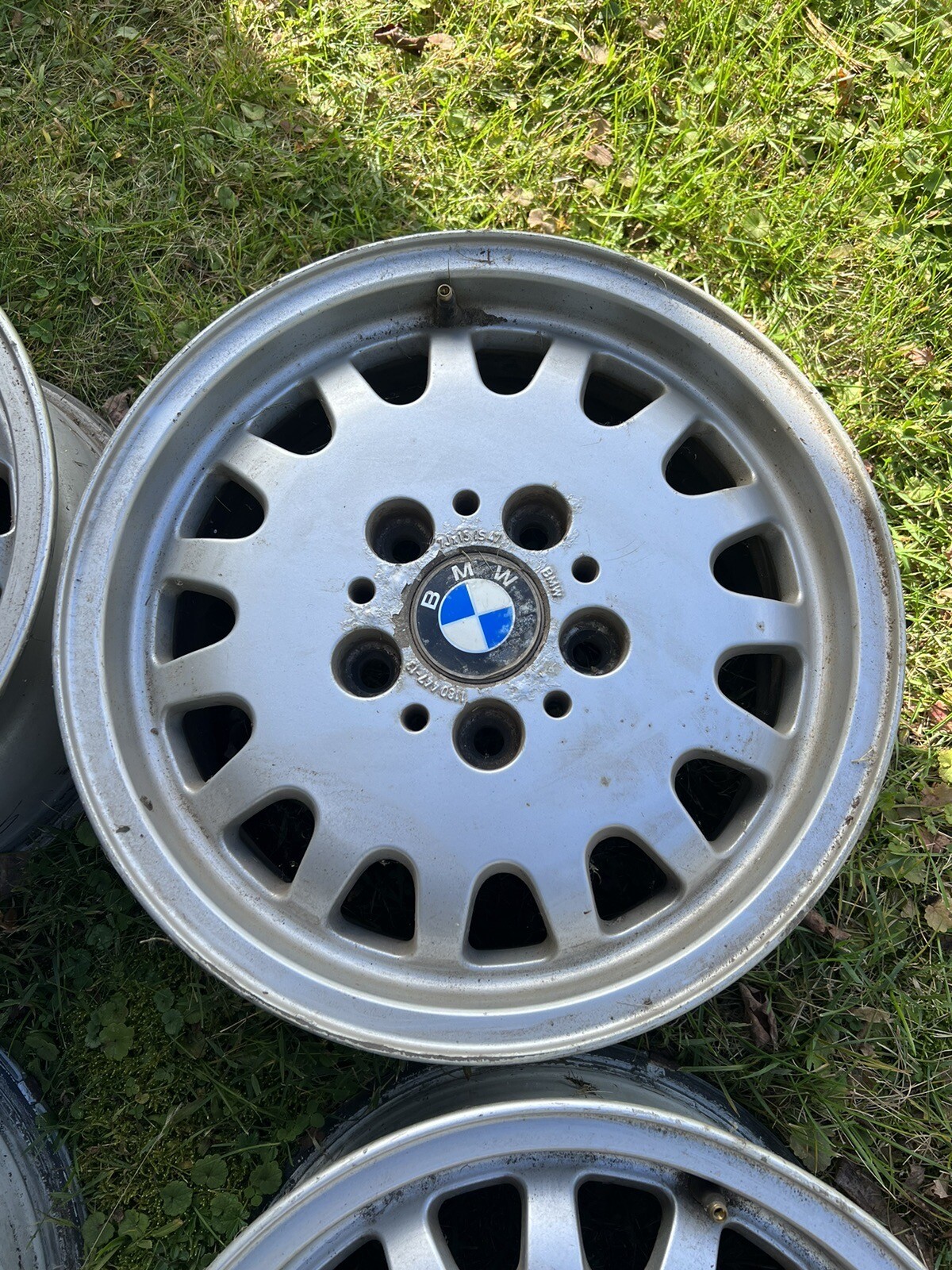 Picture 5 of 12