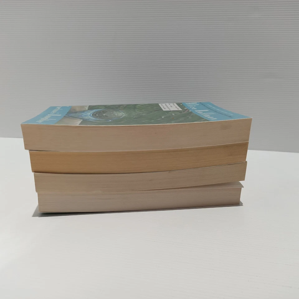 Alice Hoffman Books X 4 At Risk Fortune's Daughter White Horses Angels Landing - image 4 of 4