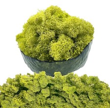 8.8 oz. Natural Preserved Moss for Crafts, Art Projects, etc. Lemon Yellow-Green