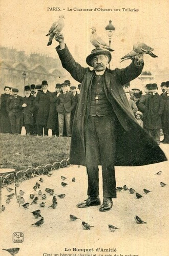 PARIS card Le Charmeur d'oiseaux aux Tuileries Le Banquet d'Amitié