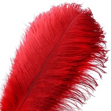 10 PCS Natural Ostrich Feather Craft 1618 Inch Plume Wedding Red Decor
