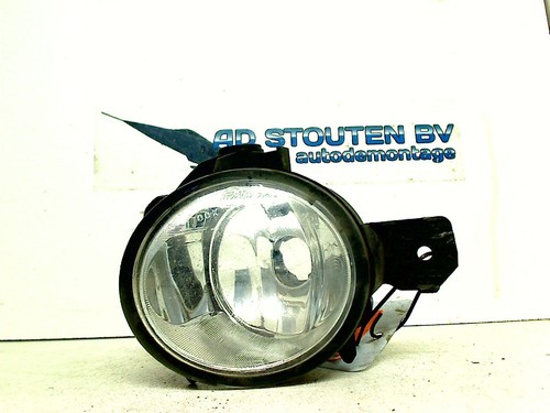 NEBELSCHEINWERFER LINKS VORNE BMW X5 (E70) SUV 3.0sd 24V (M57-D30(306D5)) 2008
