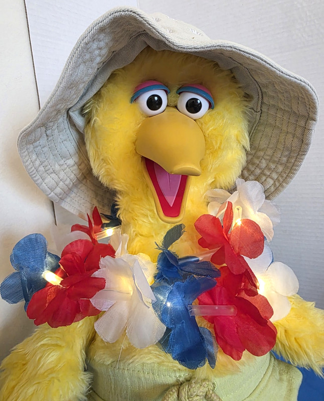 "Happy 250th Birthday America" Big Bird LOT Talks and Animates great! .VIDEO