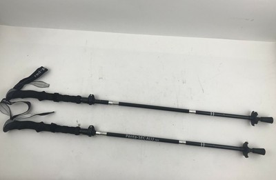 ascend escalante trekking pole