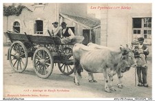 AYUP9-0781-65 - Zuggeschirr Für Pyrenäische Ochsen