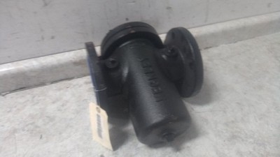 Keckley 31FFS-CI125P34-FBI-GFV 3 In Flanged Connection Basket Strainer