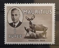 Mauritius 1950 Hirsch SG 287** (1719)