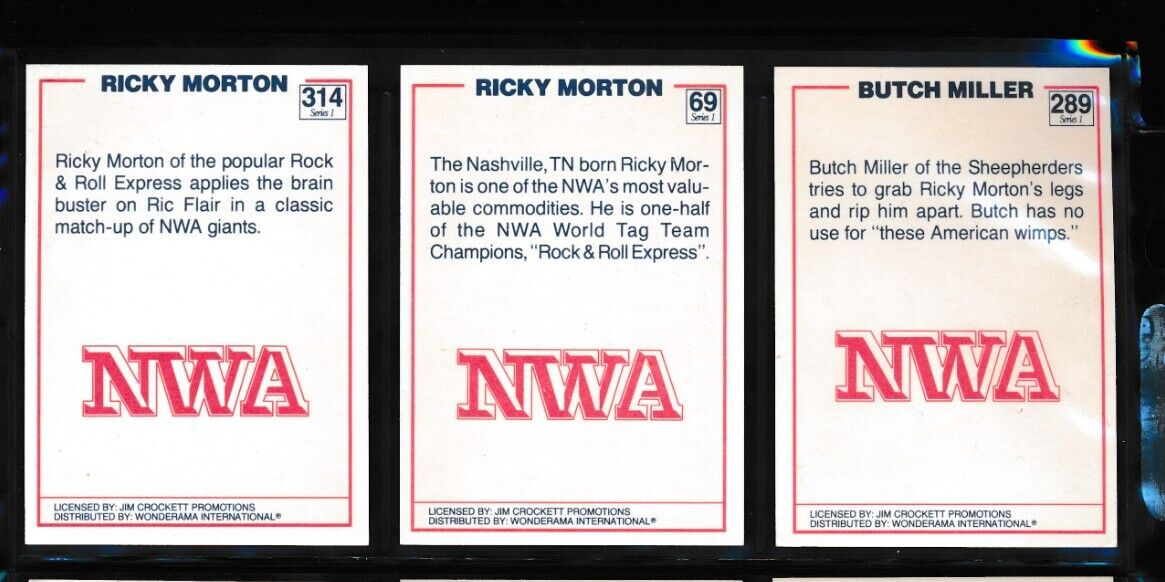 Lot (3) Ricky Morton 1988 Wonderama NWA Series 1 #69 #314