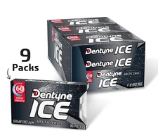 Dentyne Ice Arctic Chill Sugar Free Gum, 16 Pieces (9 Count)