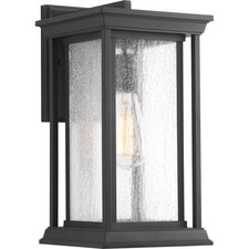 Endicott Collection 1Light Clear Seeded Glass...