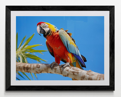 Macaw Parrot Framed Canvas Picture Poster Print Wall Art