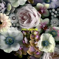 Alpines - Full Bloom - Vinyl Record 12 Album - G4Z