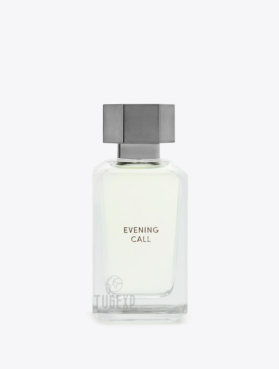 ZARA Into The Joyful Evening Call Women Fragrance Perfume