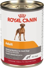 Royal Canin Canine Health Nutrition Adult In Gel Dog Food, 13.5 oz (Pack of 12) 6.62 per gallon