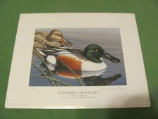 Ducks Unlimited Print NE Neal R Anderson Signed 2007 Northern Shovelers 339/1200
