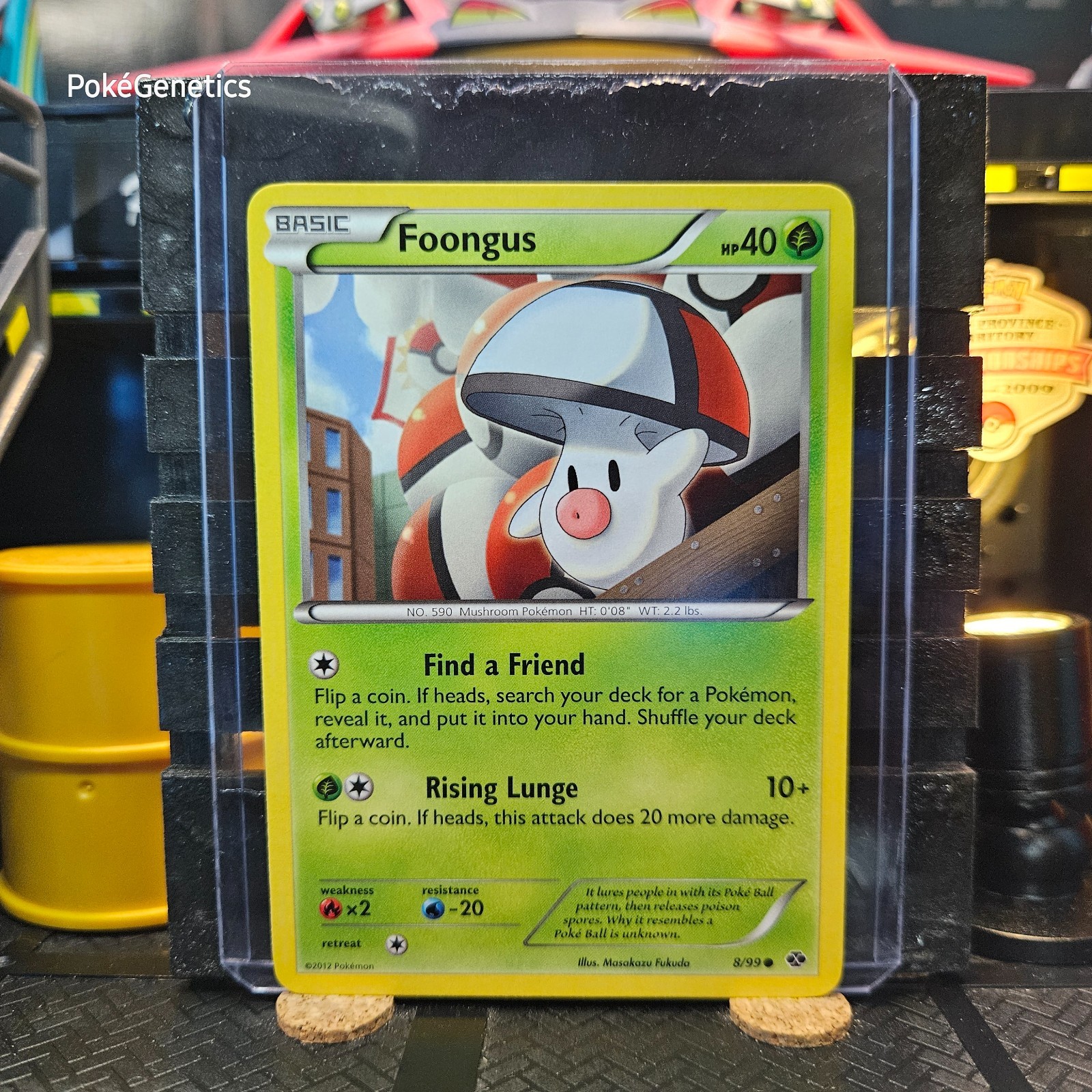 Foongus Next Destinies Pokémon TCG 8/99 Black & White Common