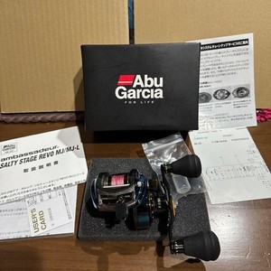 Abu Garcia Salty Stage | eBay