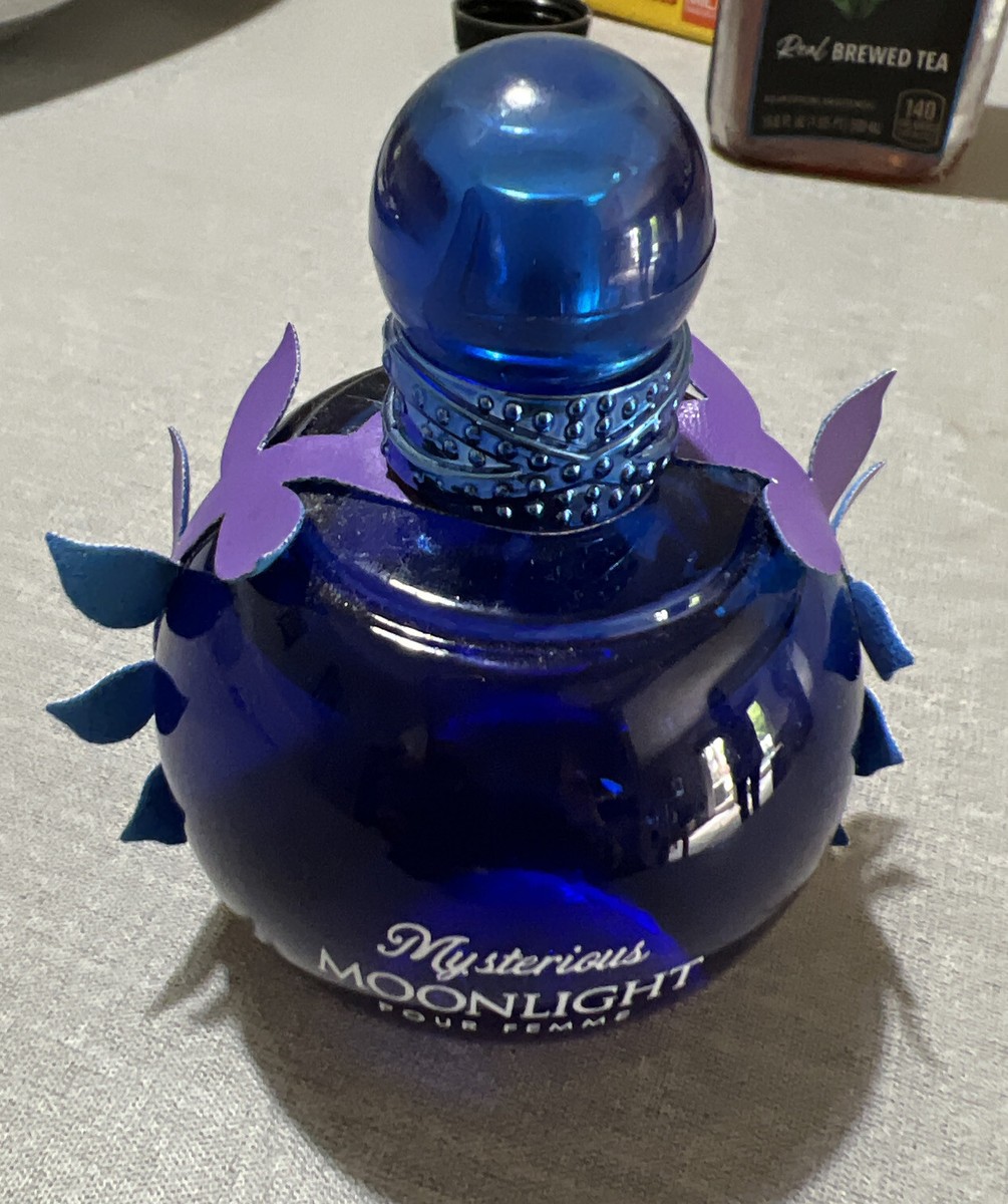 Mysterious Moonlight Perfume for Women Our Version of Midnight 3.4