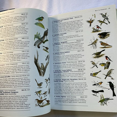 Field Guide to the Birds of Australia 7th Edition + Australian Birds Logbook - Bild 17 von 24